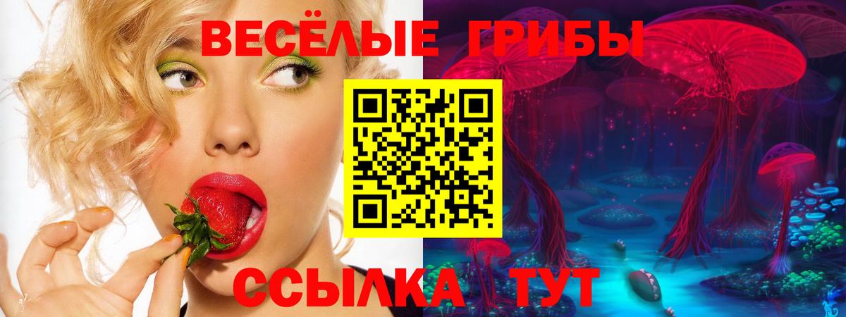 Галлюциногенные грибы Psilocybine cubensis Янаул